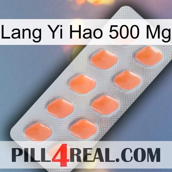 Lang Yi Hao 500 Mg 26.jpg